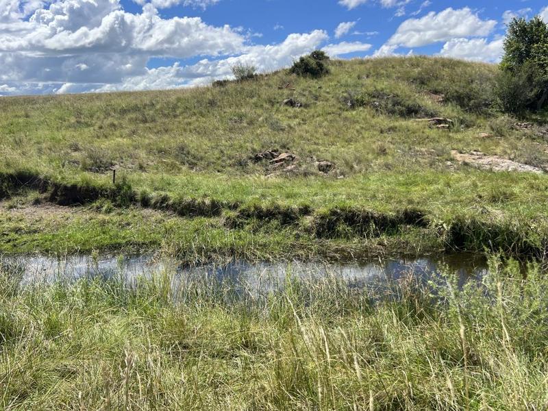 0 Bedroom Property for Sale in Lindley Free State